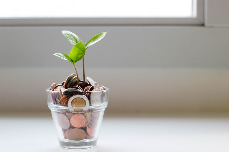 Plant growing out of a glass of coins.